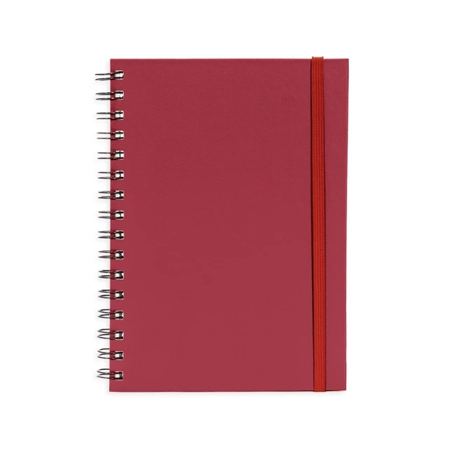 PLANNER CROMATO ANUAL