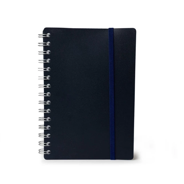 AGENDA DIÁRIA 2026