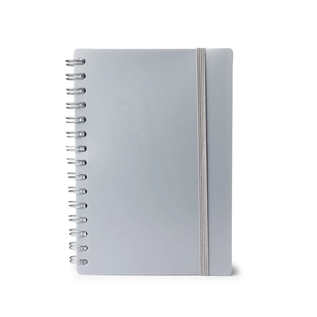 AGENDA DIÁRIA 2026