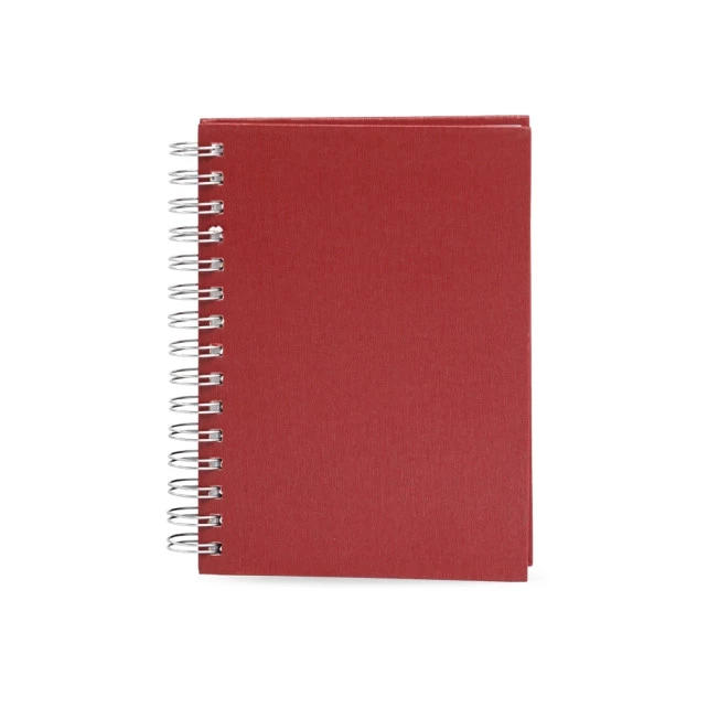 AGENDA DIÁRIA