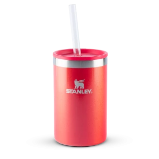 Can Cooler com canudo Stanley Apple Shimmer | 296ML