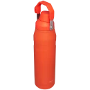 Garrafa Térmica Aerolight Fast Flow Tigerlily | 1.1L