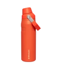 Garrafa Térmica Aerolight Fast Flow Tigerlily | 710ML