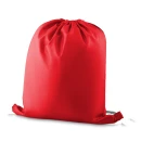 Sacola/Mochila Poliéster 210D (40x35X9,5cm) extra