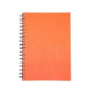 CADERNO CROMATO